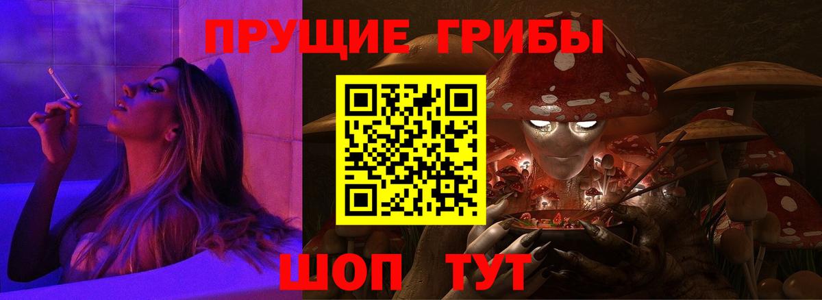 Псилоцибиновые грибы Psilocybine cubensis  Псилоцибиновые грибы мицелий  Богданович  Вход с VPN 